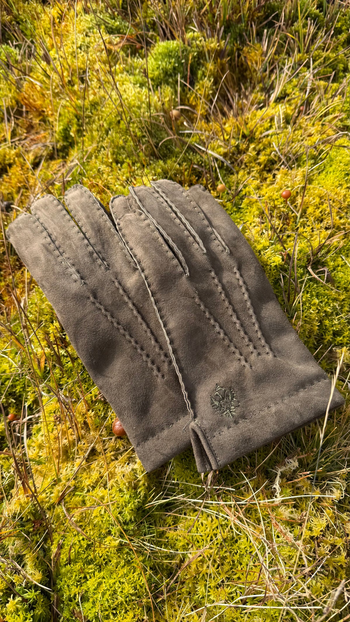 Herrenhandschuh Alant aus Lammvelours